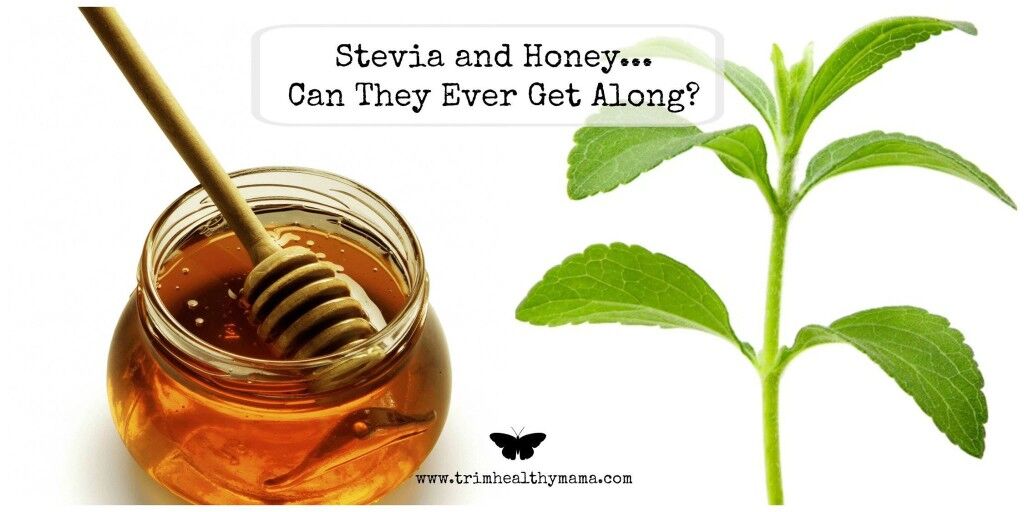 Stevia VS. Honey (The Debate) - Trim Healthy Mama